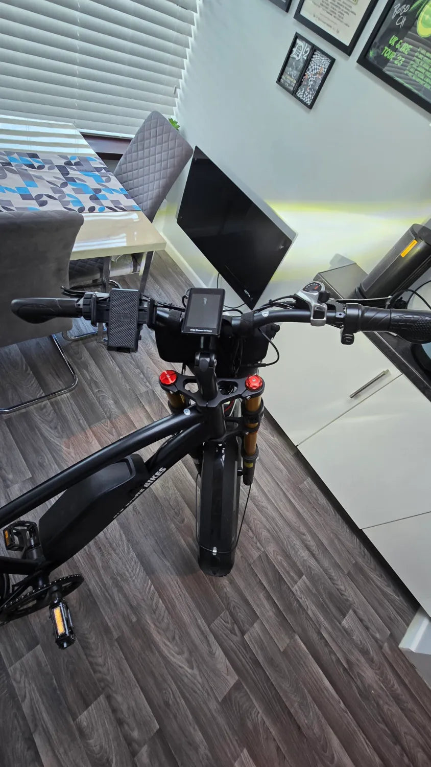 Big Game Bikes Buffalo Alpha Plus 750W 2024