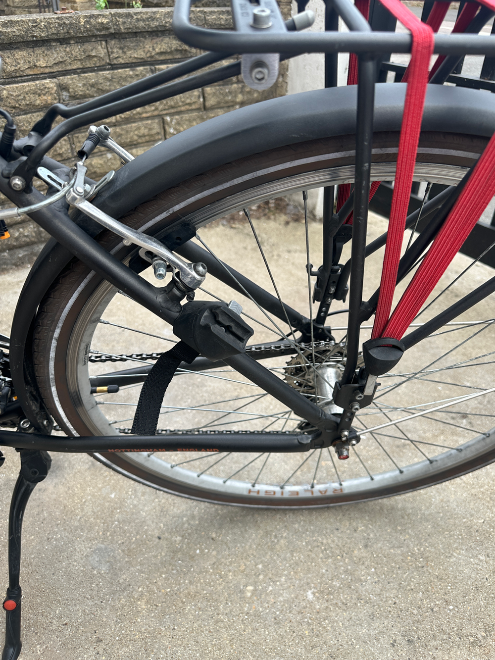 Raleigh Pioneer 2021