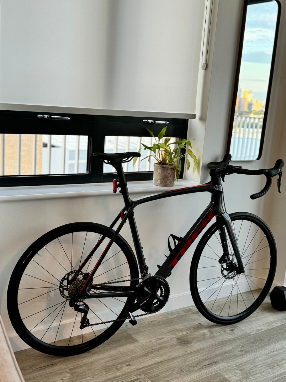 Trek Émonda SL 5 2024
