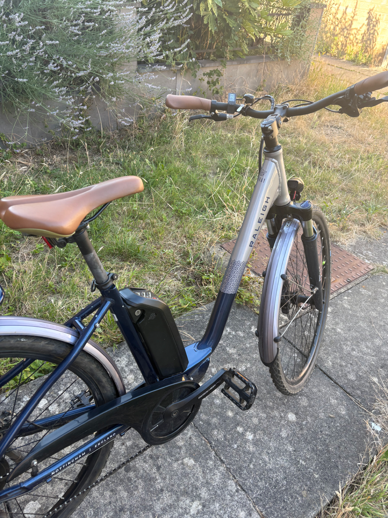Raleigh Array Lowstep 2022