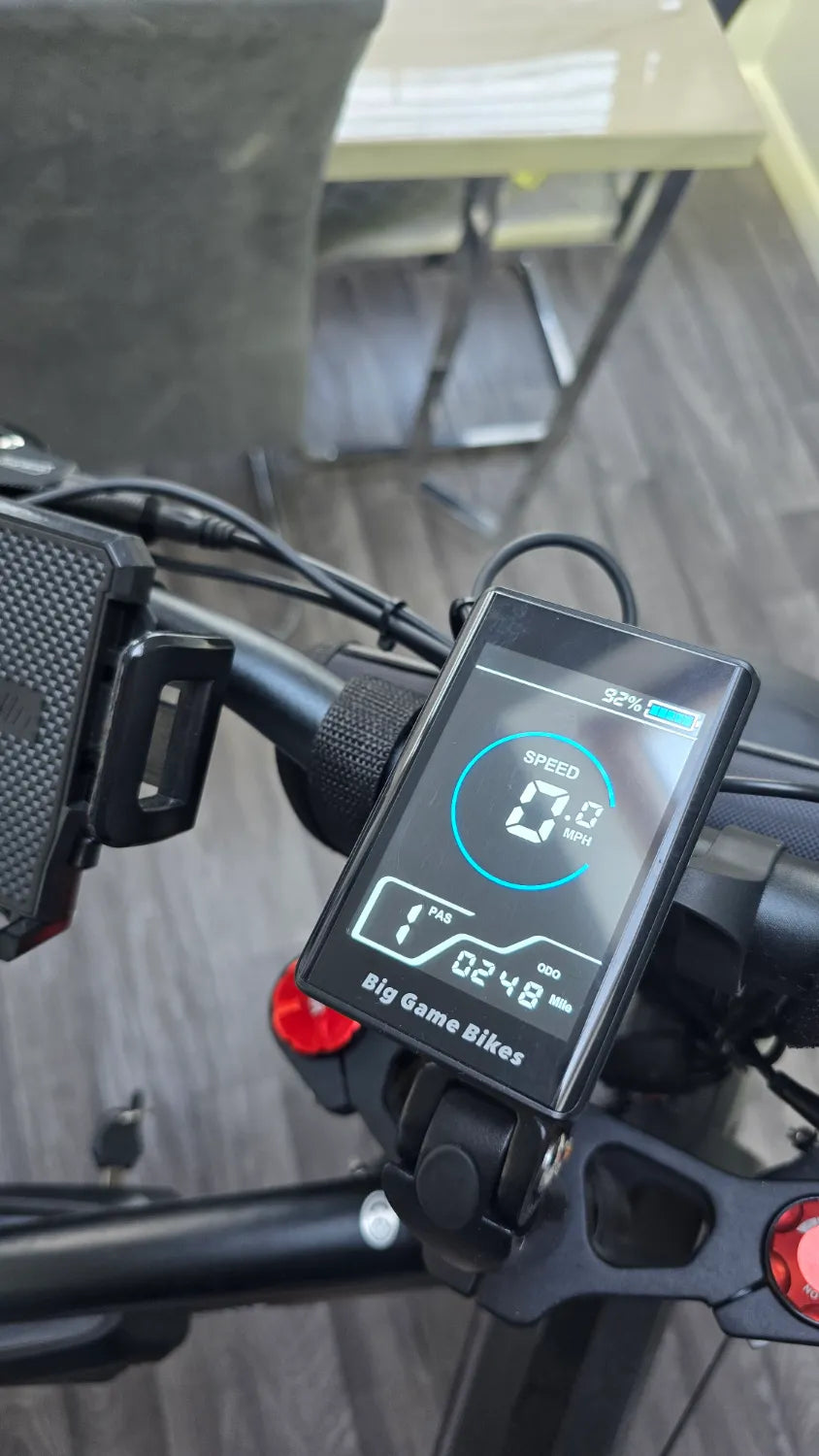 Big Game Bikes Buffalo Alpha Plus 750W 2024