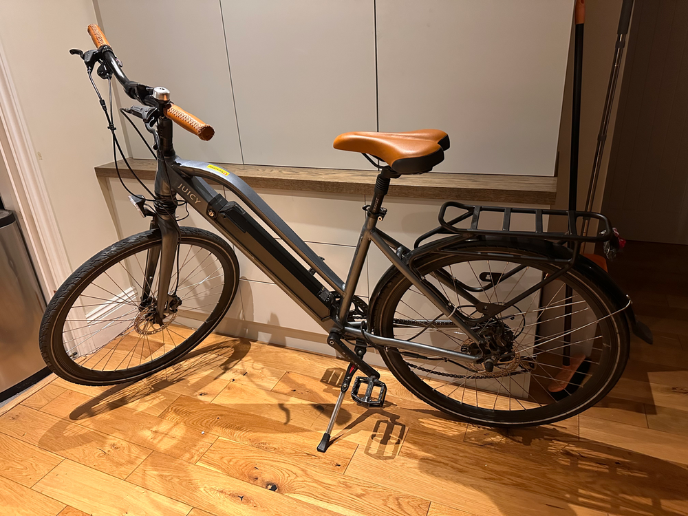 Juicy Bike Roller e-Bike 2018