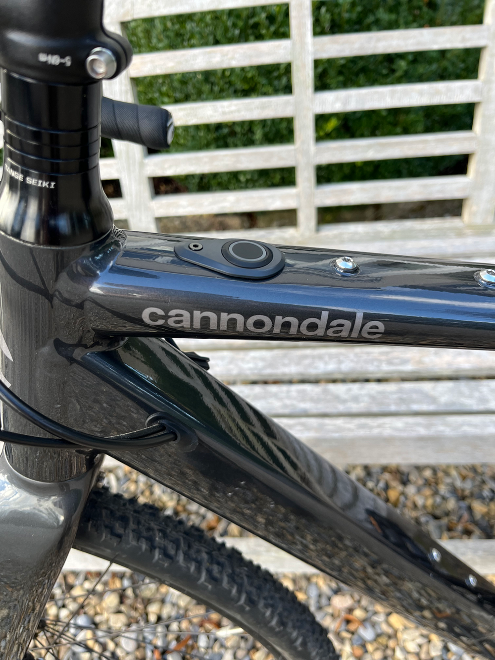 Cannondale Topstone Neo SL 2 2021