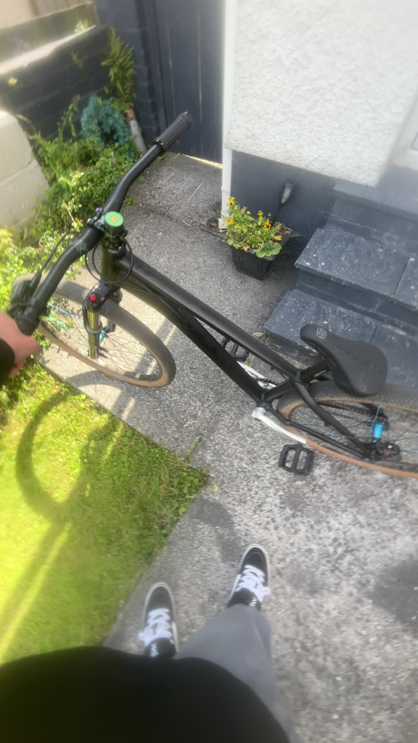 Alaudark  Lark v1 2024