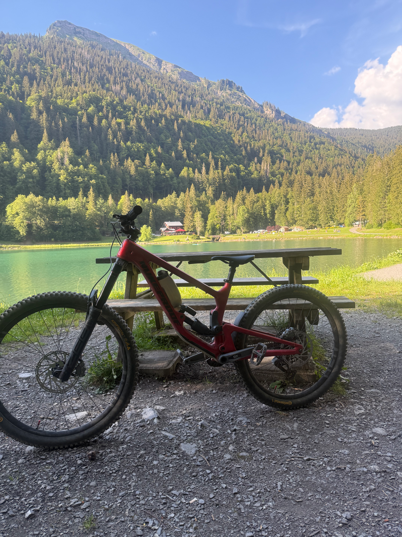 Nukeproof Giga Carbon Pro 290/297 2026