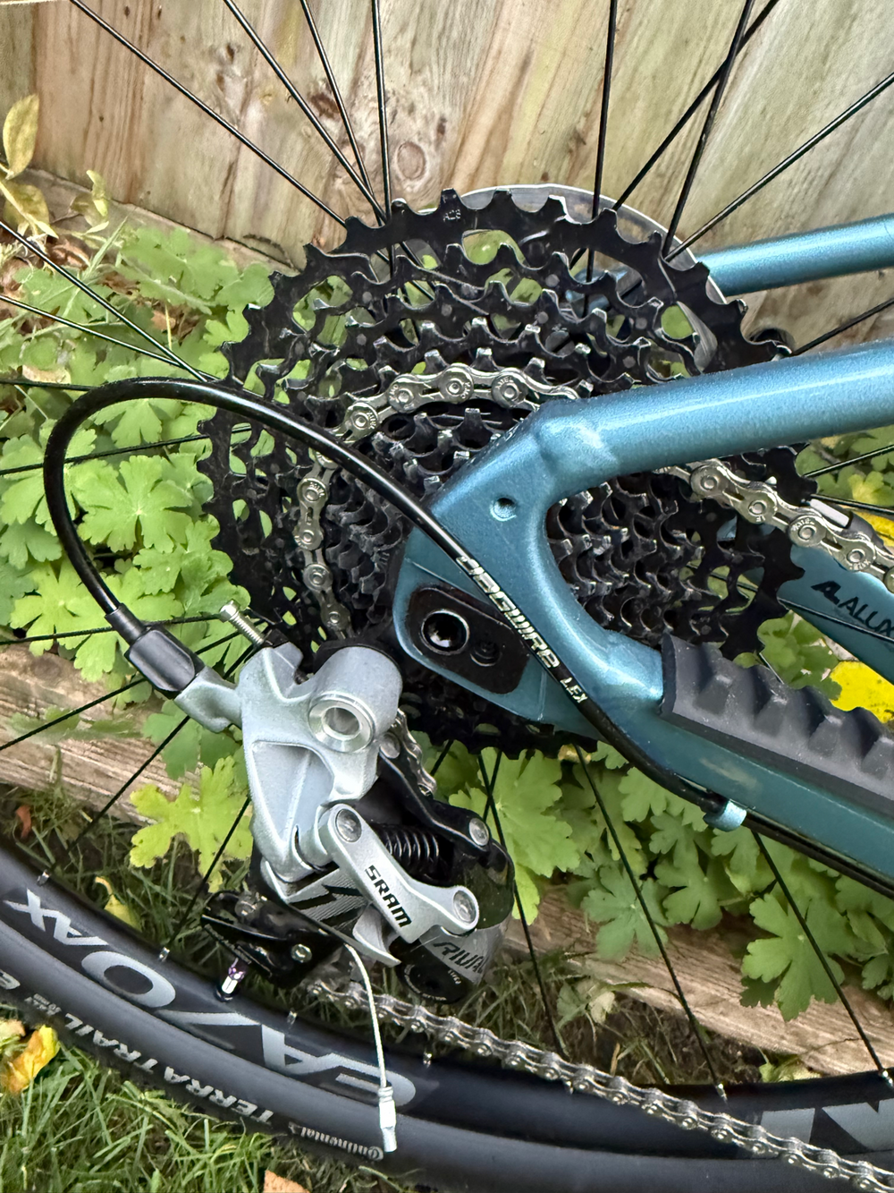 Giant Revolt X 1 2023