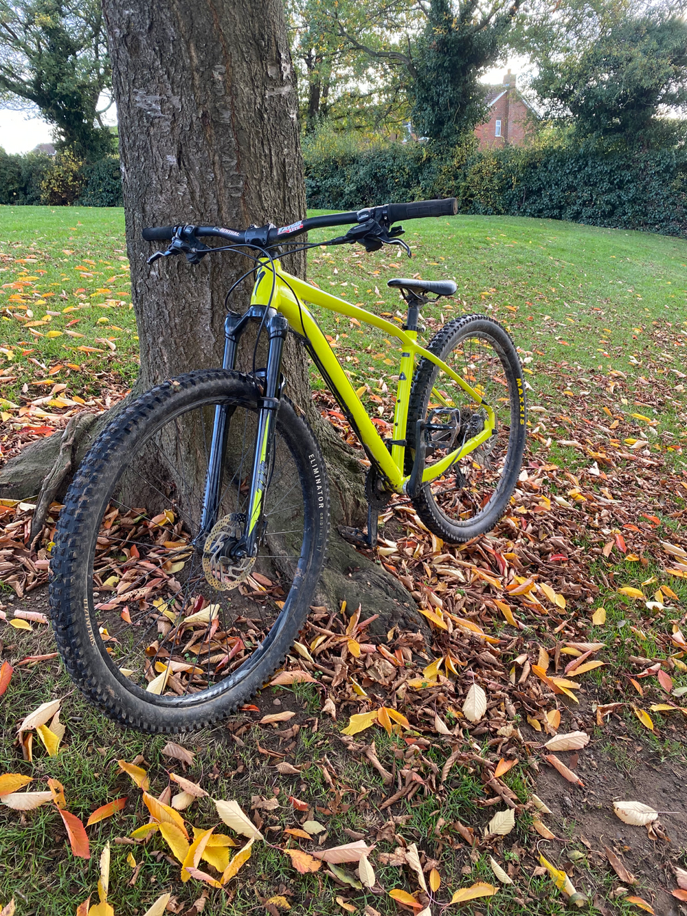 Specialized Rockhopper Comp 29 2015 2016
