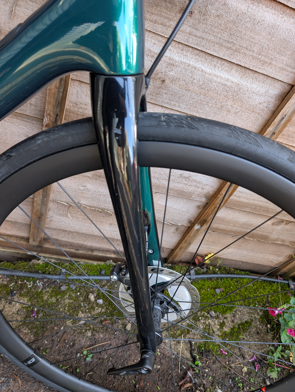 Cannondale Synapse Carbon Disc Ultegra Di2 2020