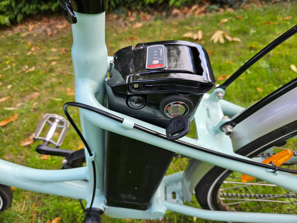 Juicy Dutch Ebike 2023