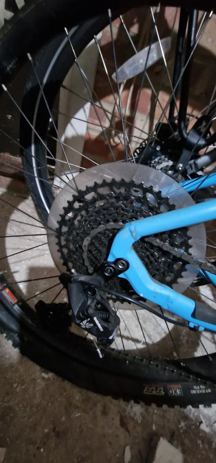 Whyte 905 2019