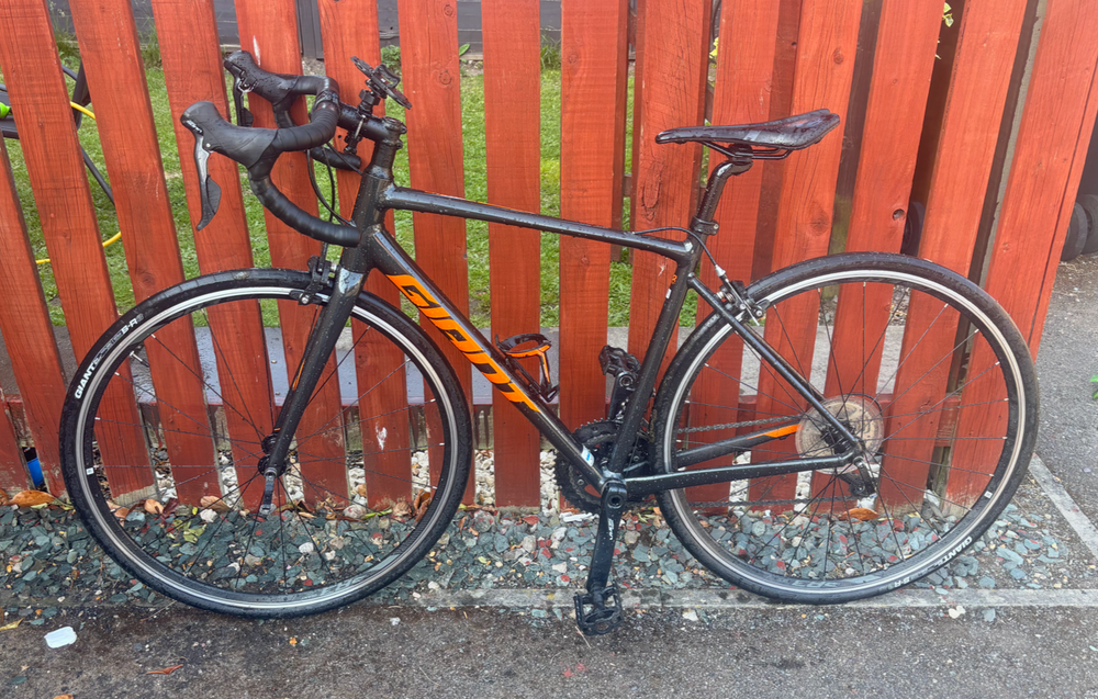 Giant Contend SL 1 2020