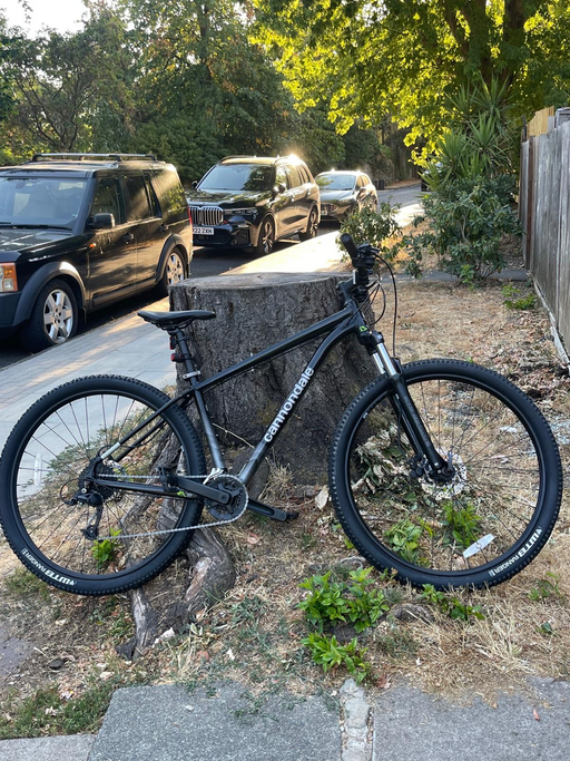 Cannondale Trail 7 2022