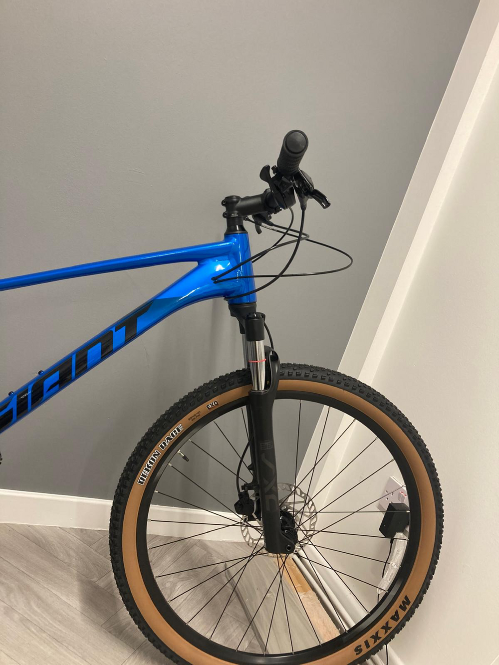 Giant Talon 1 2024