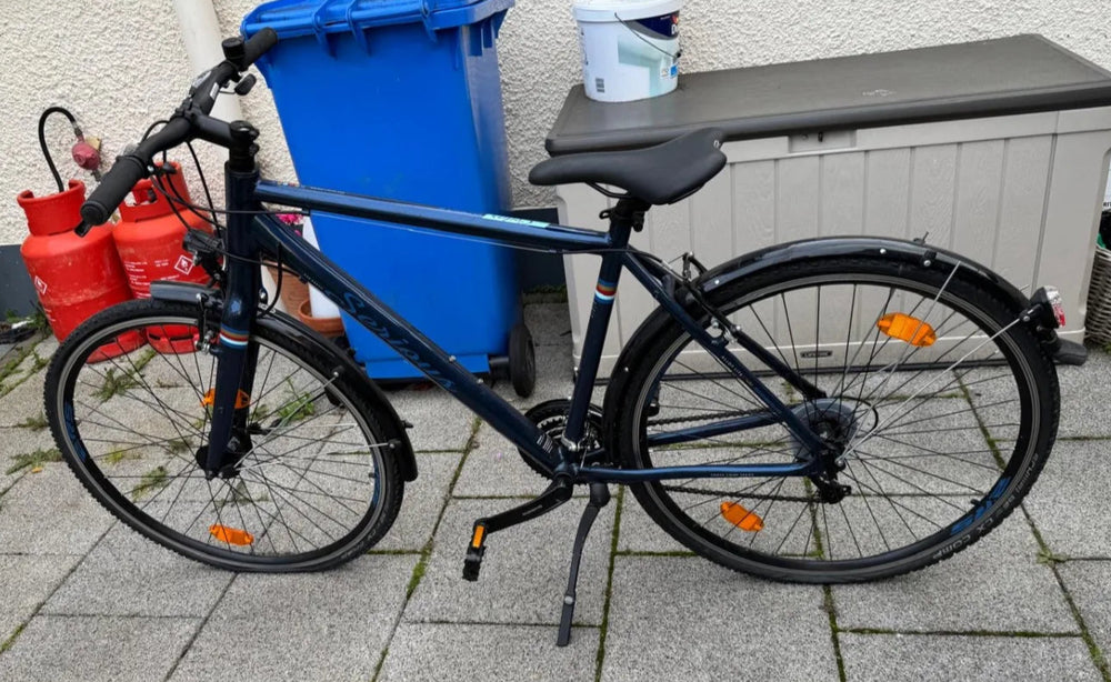 Serious Cedar S 2020