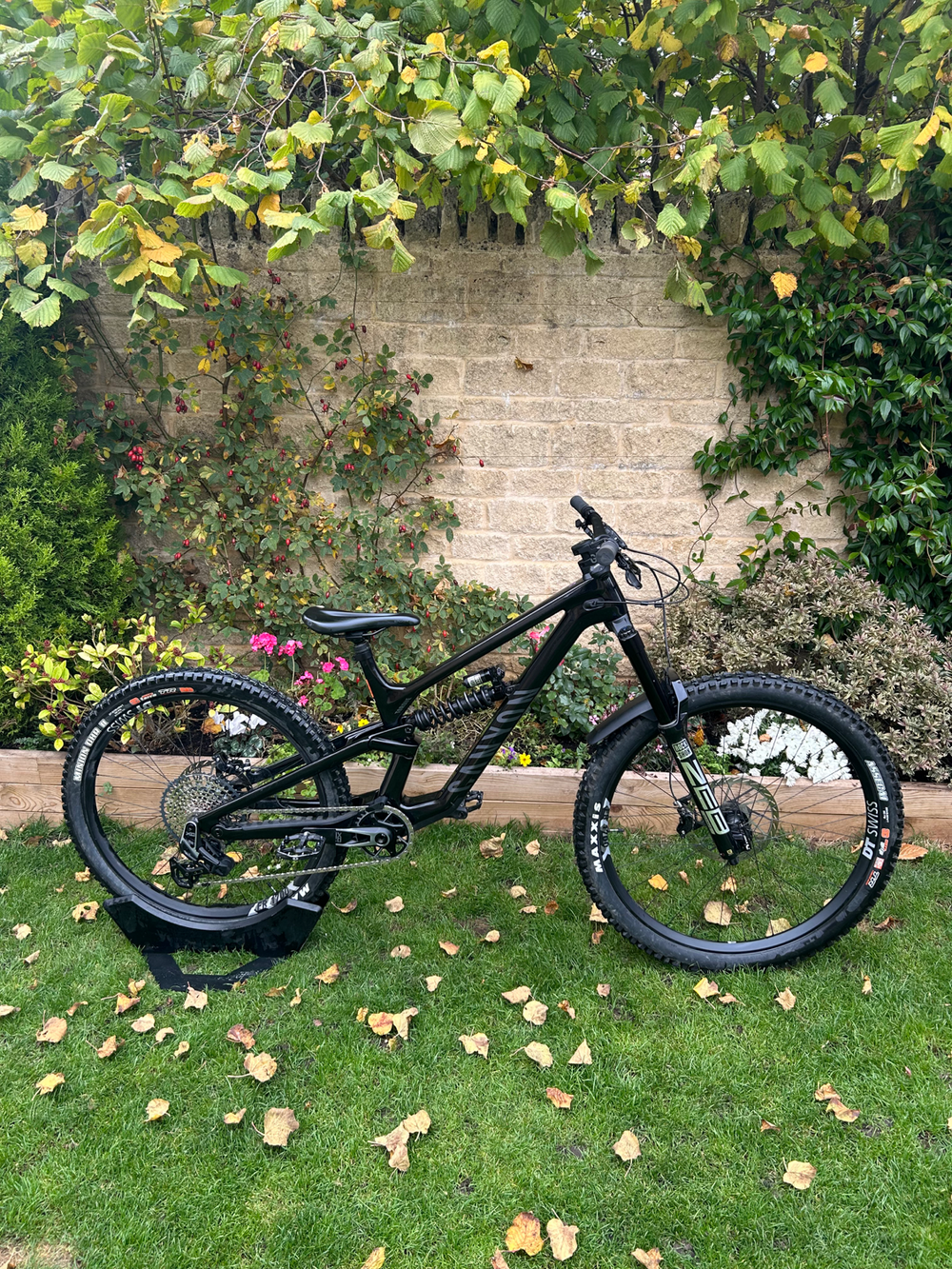 Canyon Torque Mullet CF 9 2023