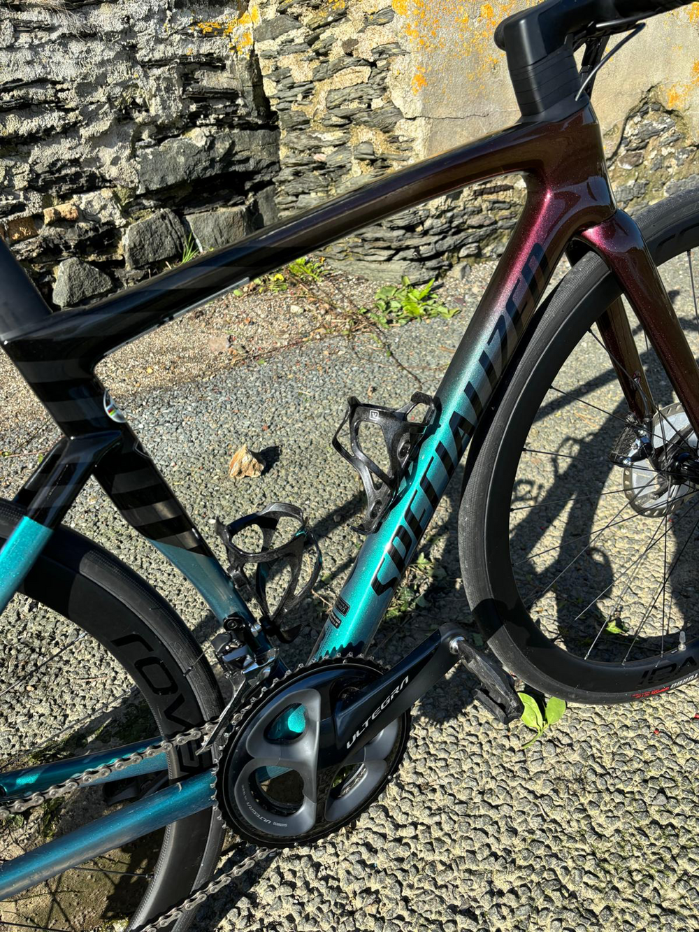 Specialized Tarmac SL7 Expert 2021