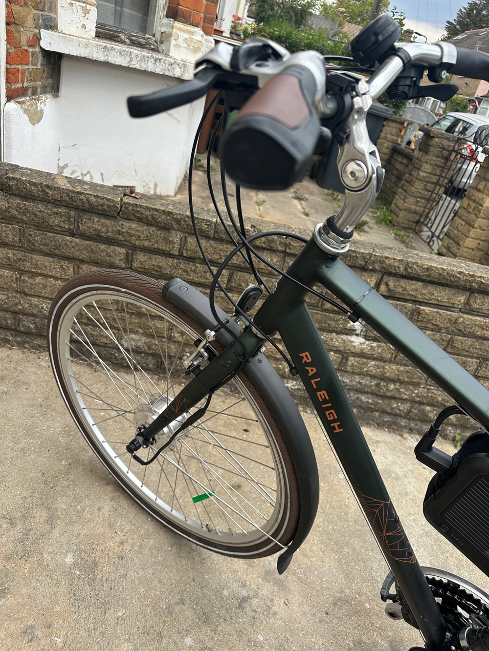 Raleigh Pioneer 2021