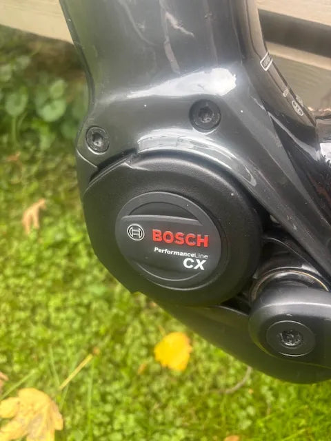 Trek Powerfly 4 625w 2021