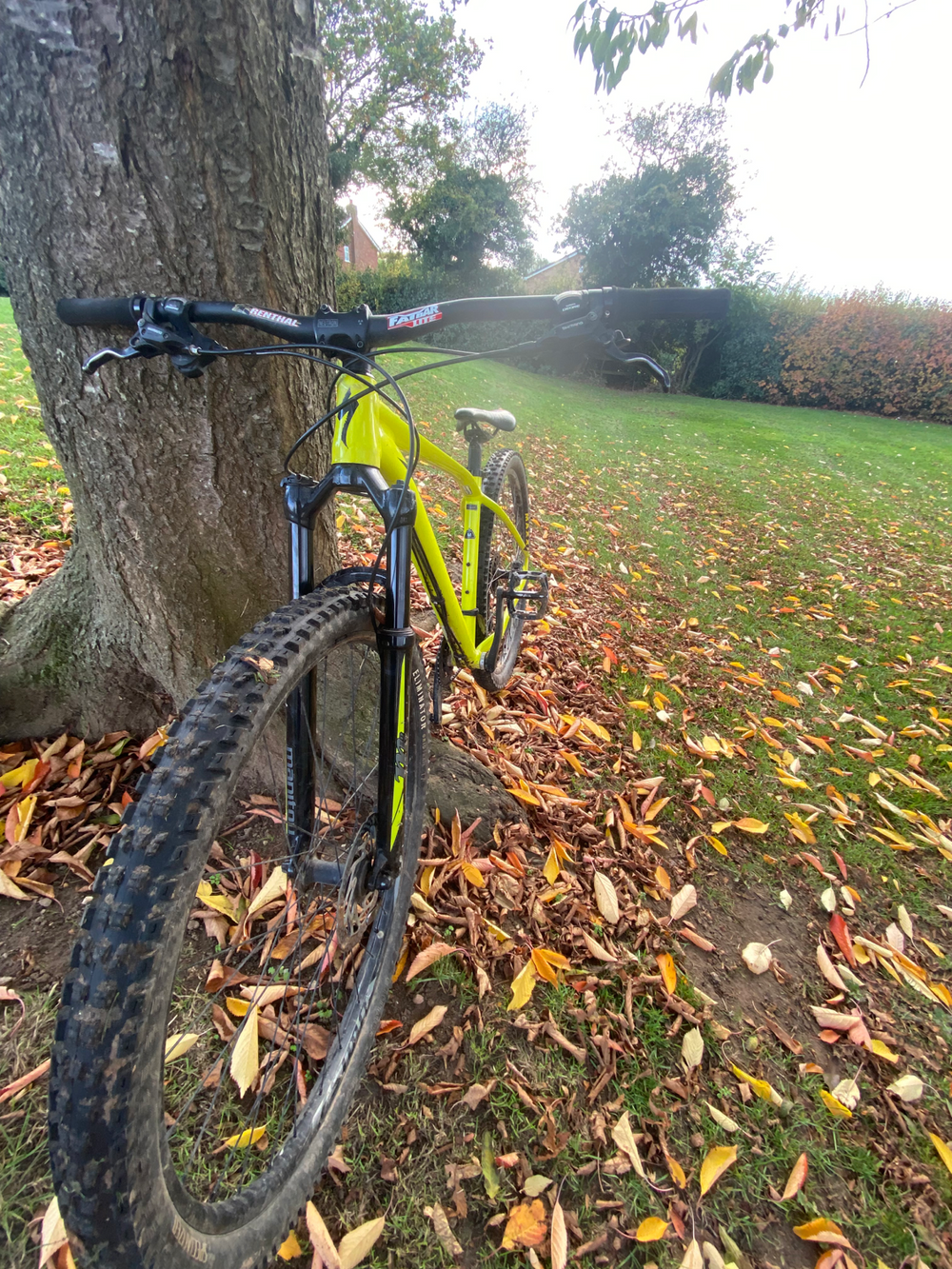 Specialized Rockhopper Comp 29 2015 2016