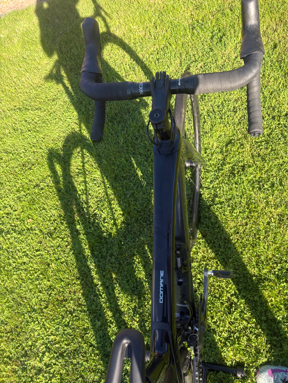 Trek Domane SLR6 2021