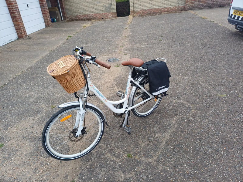 E Ranger Cruiser 2020