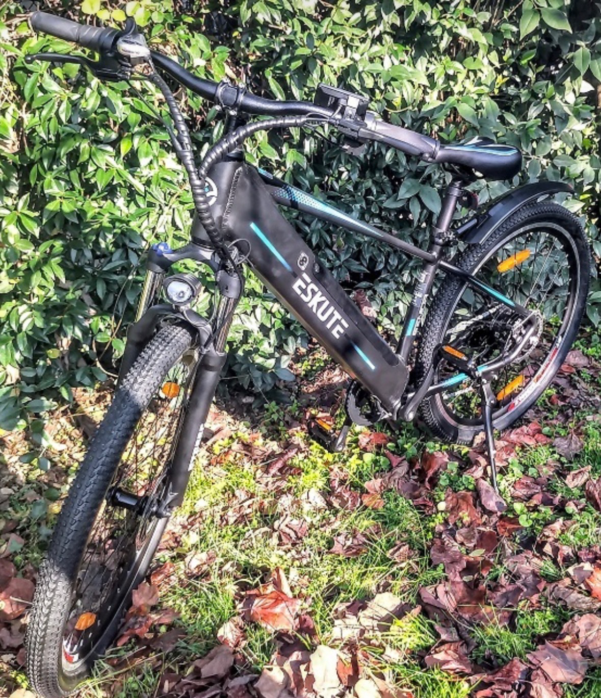 fahrradcomputer bulls E-Bike Iconic EVO 1 Karnevalsorden – Orden Adrian Category:E Bike_Aluminium Patent gefedert Satori Harmony Select Your Model:2026 H7Ultra / H9Ultra