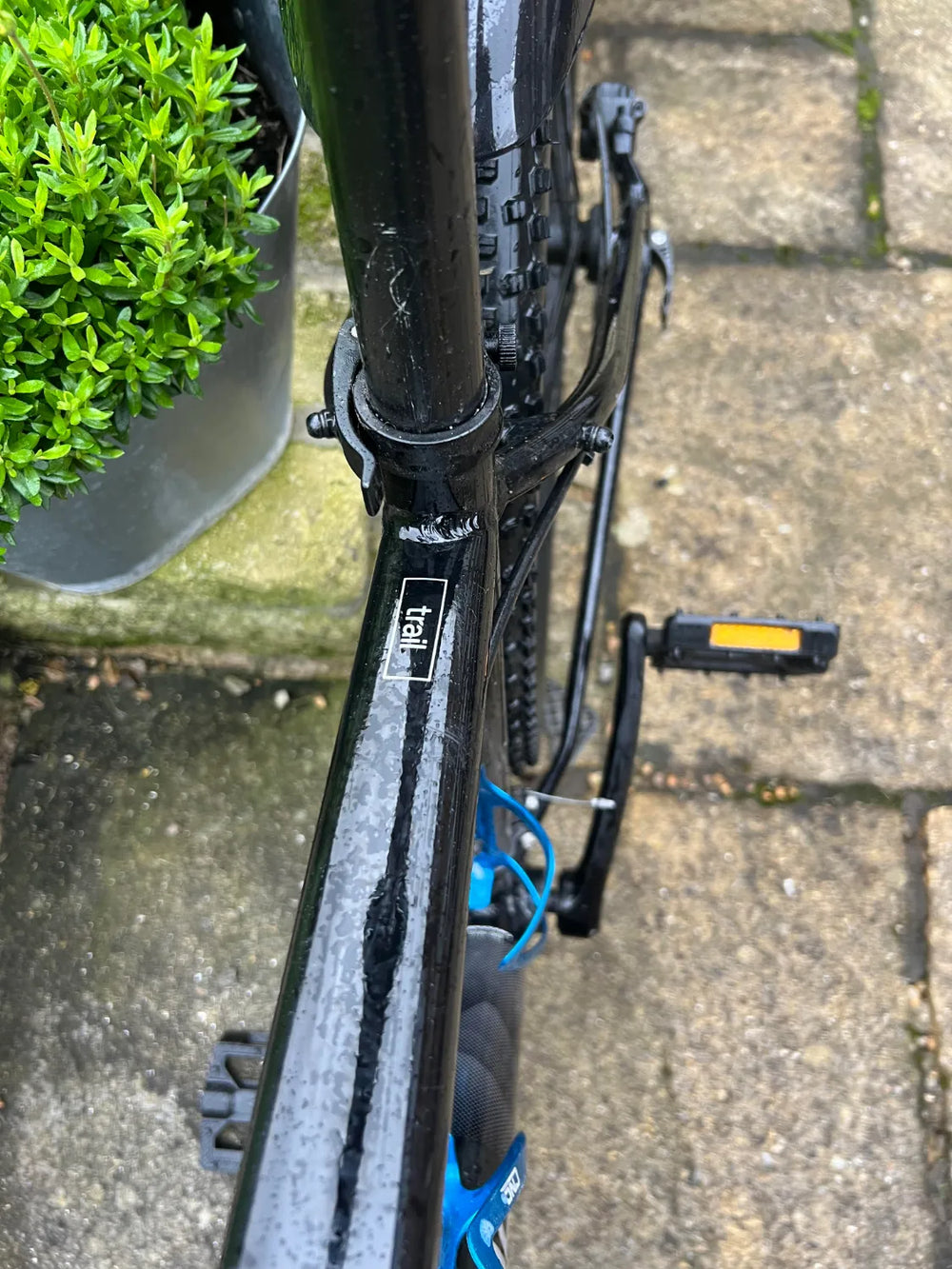 Cannondale Trail 7 2023