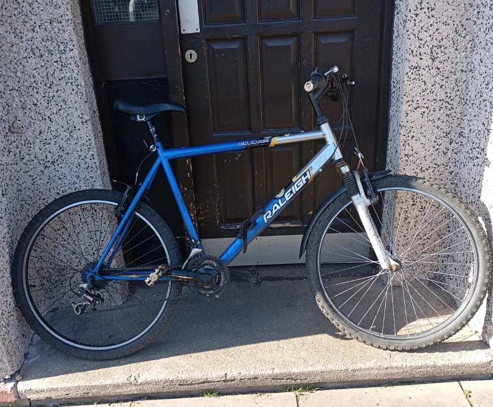 Raleigh Amelia 2 2018