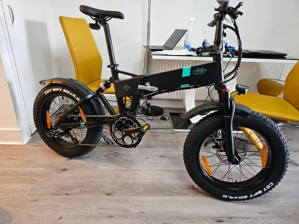 FIIDO M21 fat tyre with torque sensor 2023