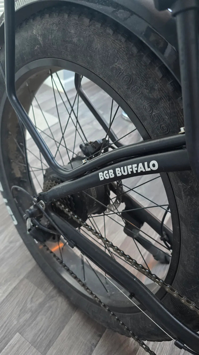 Big Game Bikes Buffalo Alpha Plus 750W 2024