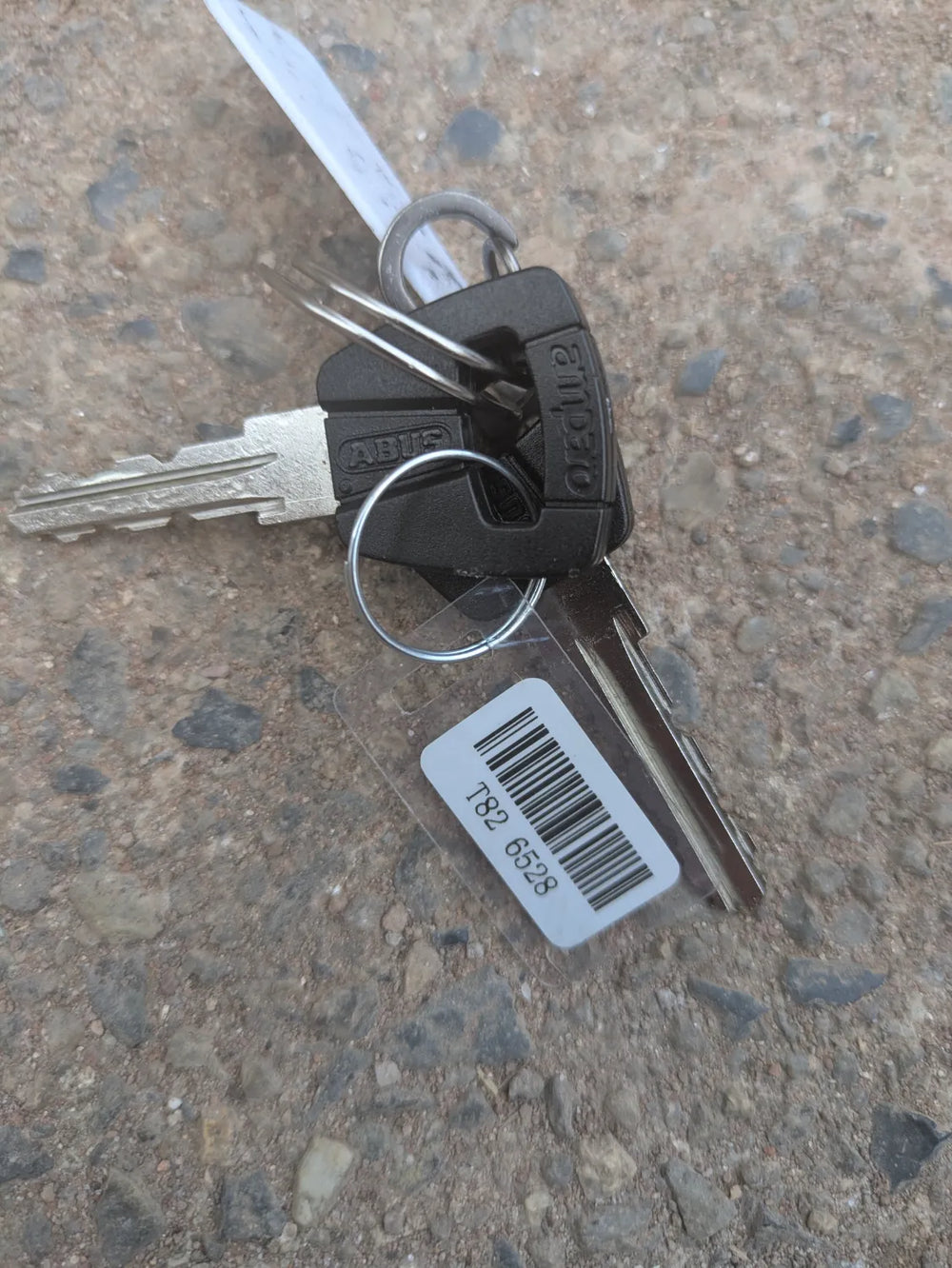 Cannondale Cargowagen Neo 1 2024