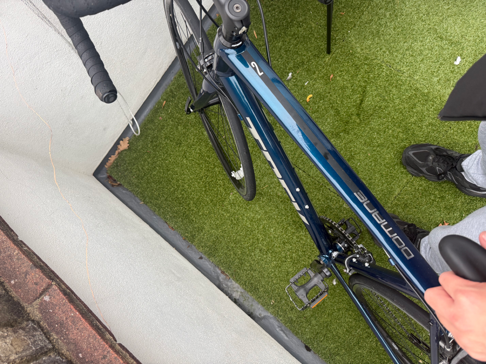 Trek Domane AL 2 Gen 4 2024