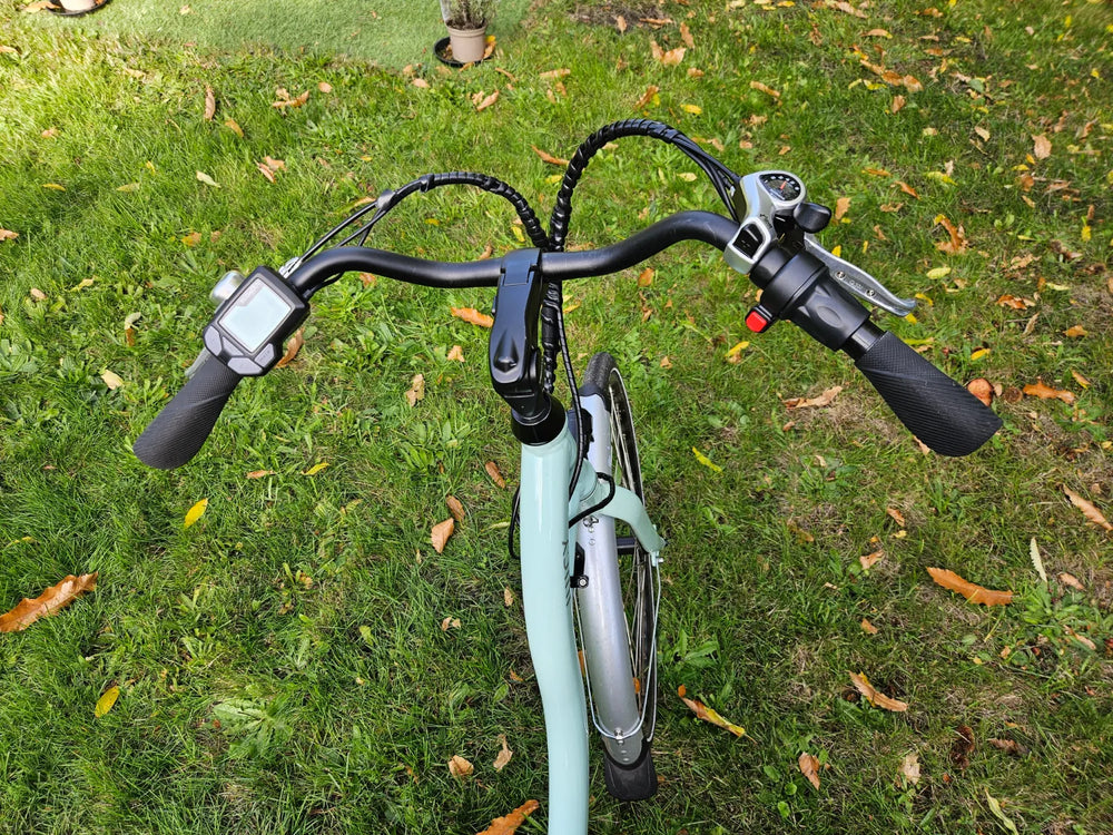 Juicy Dutch Ebike 2023