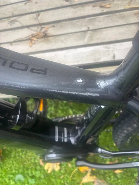 Trek Powerfly 4 625w 2021