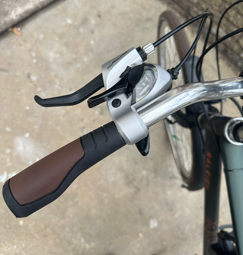 Raleigh Pioneer 2021