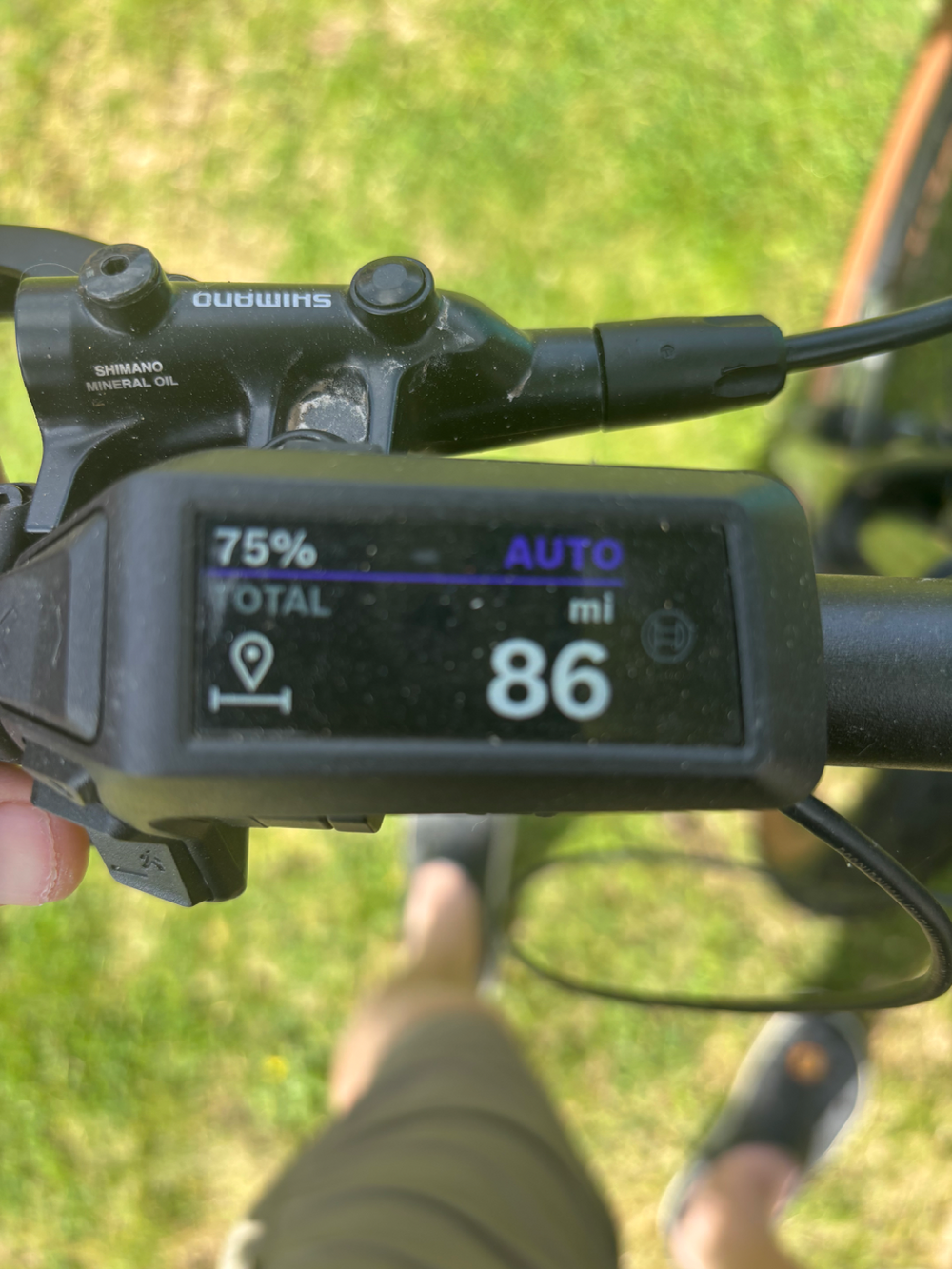 Trek Marlin+ 8 2024