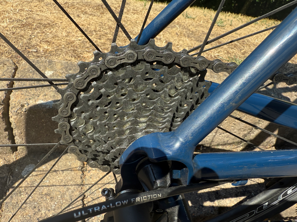 Condor Italia RC Frameset 2023