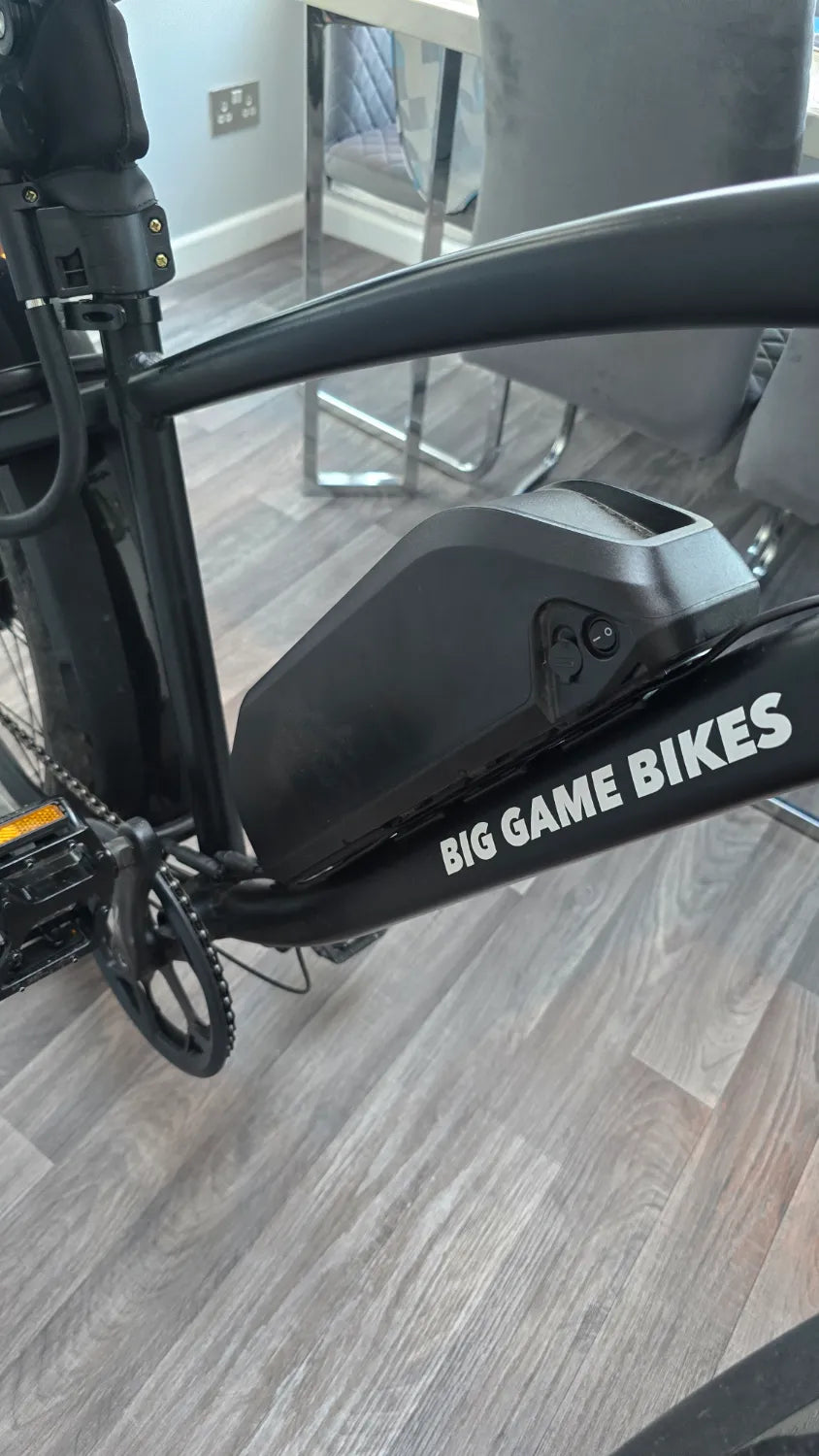 Big Game Bikes Buffalo Alpha Plus 750W 2024