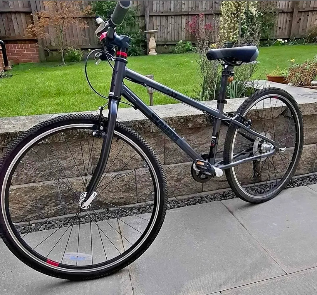 Squish 26 (13 inches) 2025
