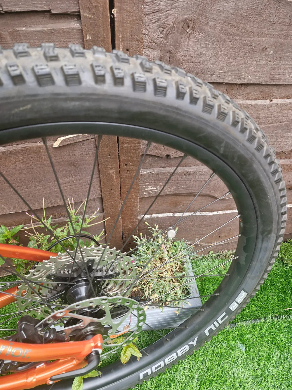 Superior EXP 9019 2025