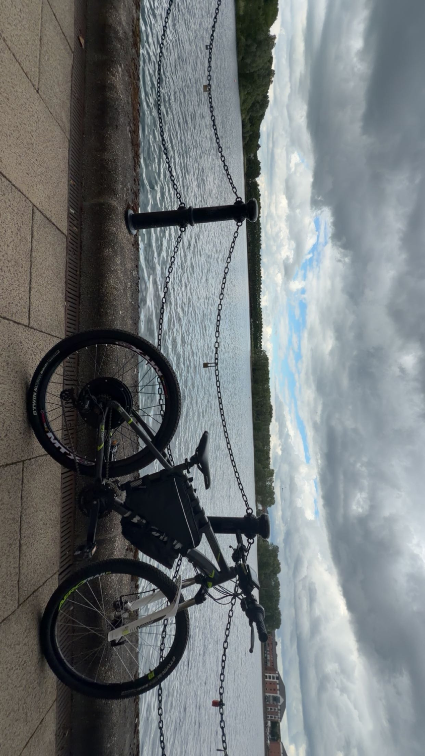 Rockrider Electric bike 2022