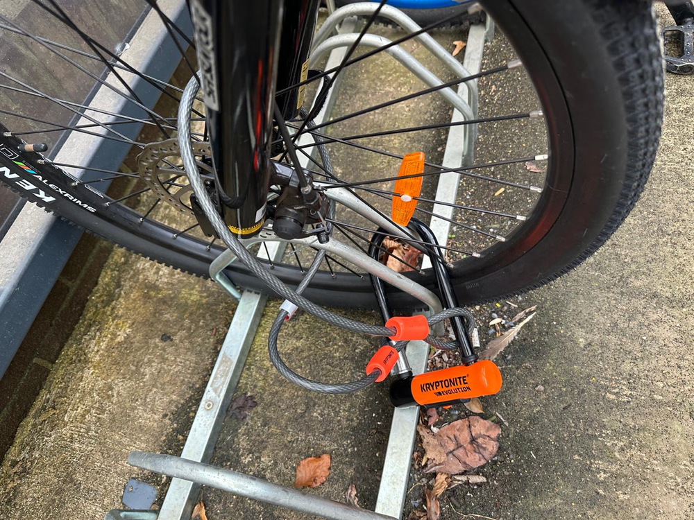 RooDog  Avatar crossbar  2023