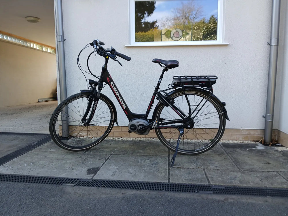 Gepida Reptila 1000 2015