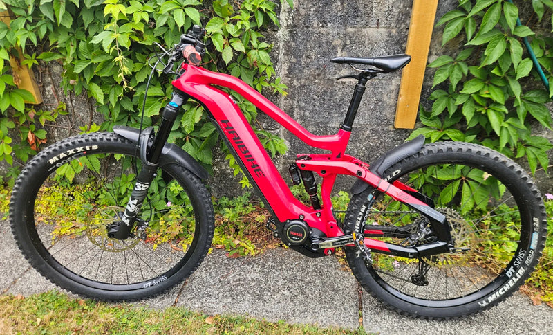 Haibike Allmtn Cf 12 2022