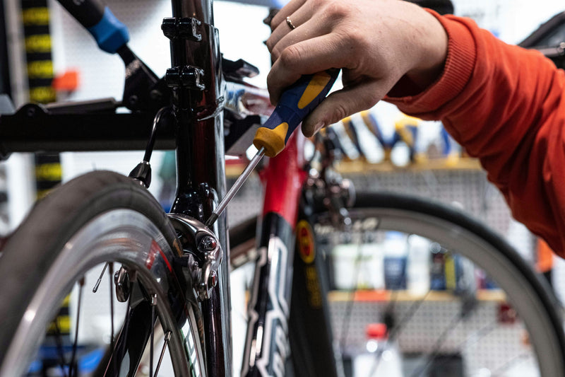 a cyclist examining a used bike up close while shopping