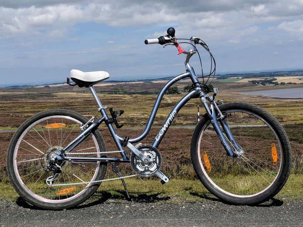 Ϟ Electra Townie 21D 2020