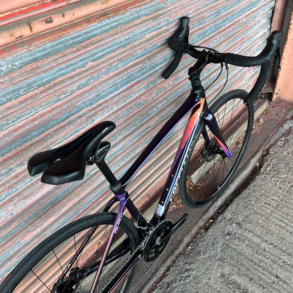 Specialized Roubaix Ruby Elite Shimano 105 Carbon Disc Road Bike