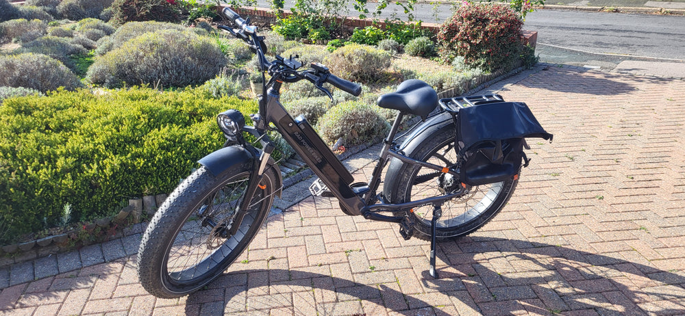 Rad Power Bikes RadRhino 6 2022