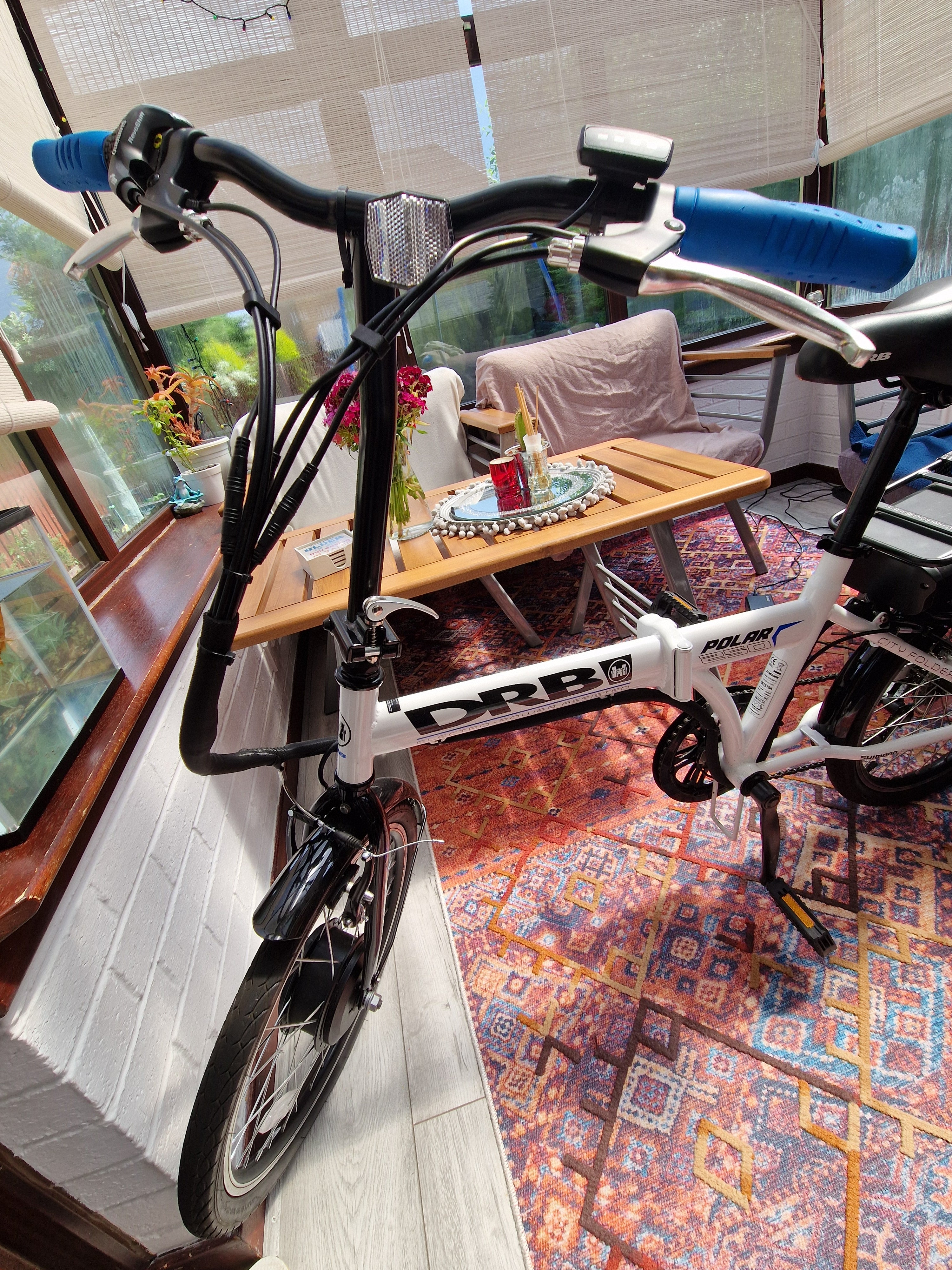 Ϟ Dallingridge Polar Folding Electric Bicycle 2023