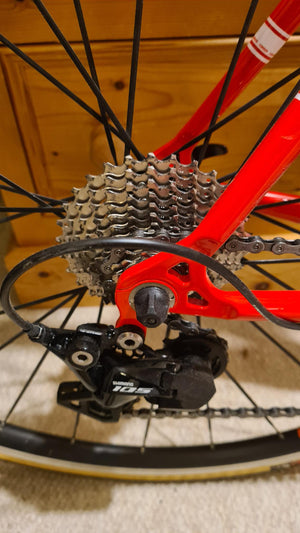 Condor Condor Italia X Velopark 2022